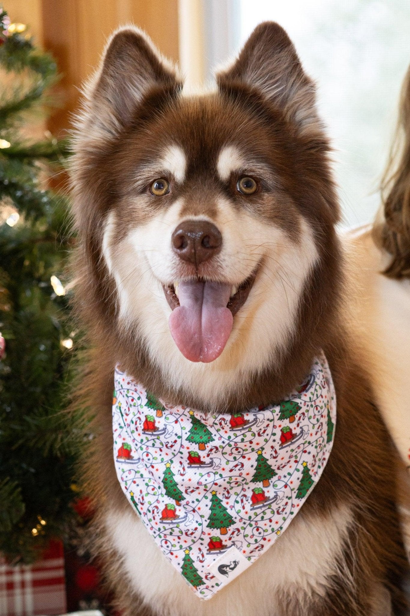 Howliday Cheer Dog Bandana - DraftFuel Sports
