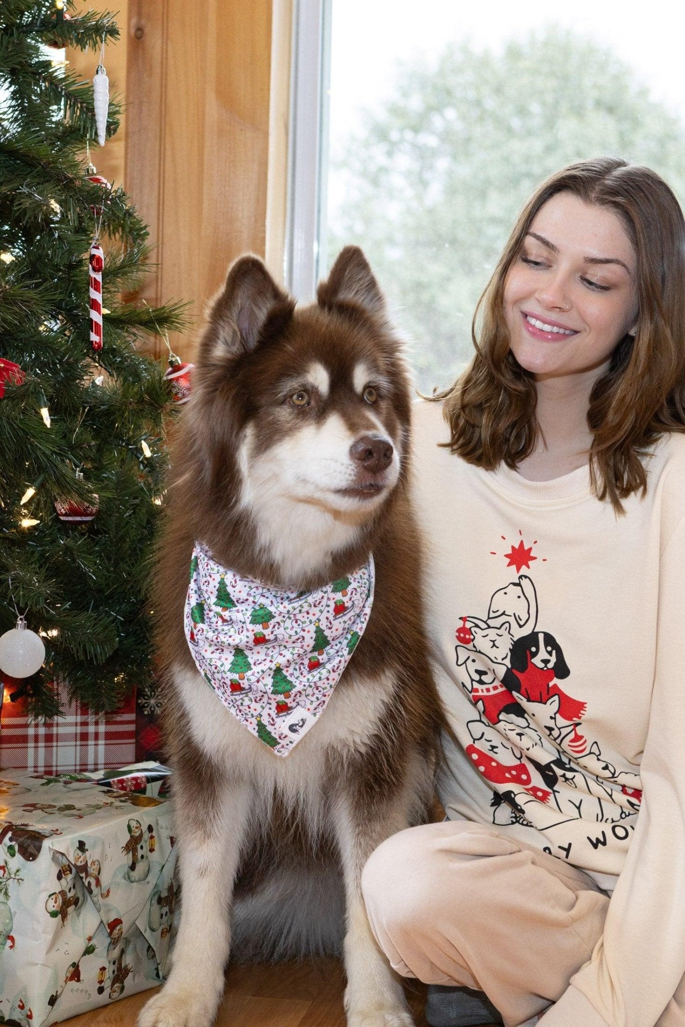 Howliday Cheer Dog Bandana - DraftFuel Sports