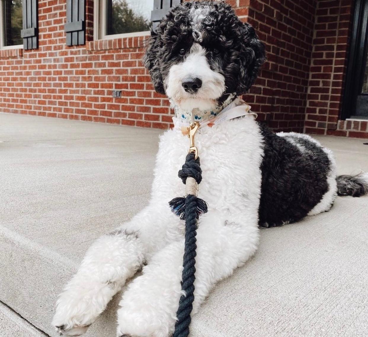 ROPE LEASH - NOIR - DraftFuel Sports