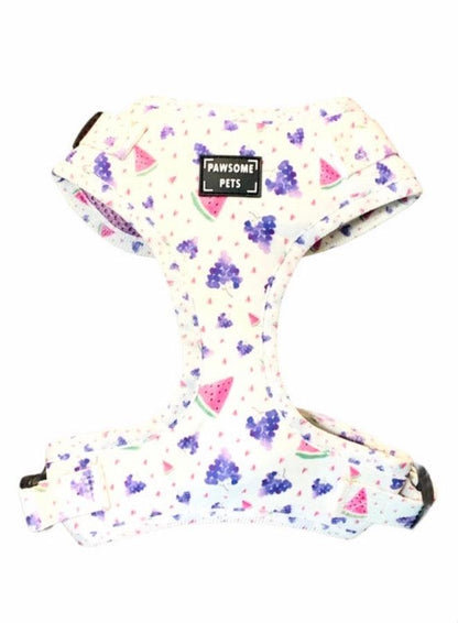 ADJUSTABLE HARNESS - WATERMELON GRAPE SQUEEZE - DraftFuel Sports