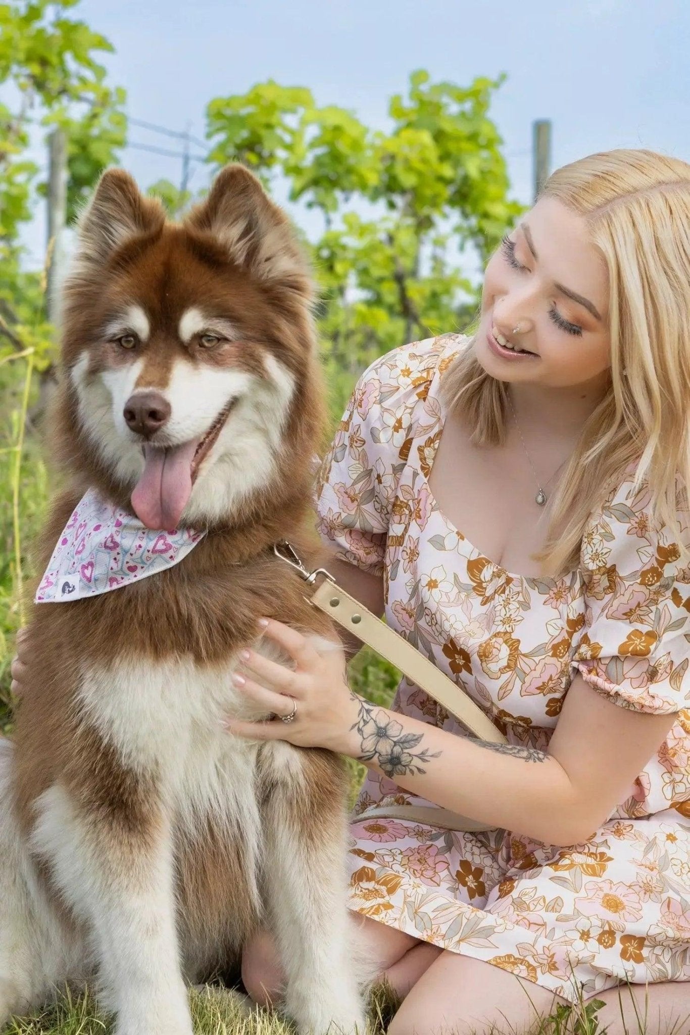 Cheers to Love Dog Bandana - DraftFuel Sports
