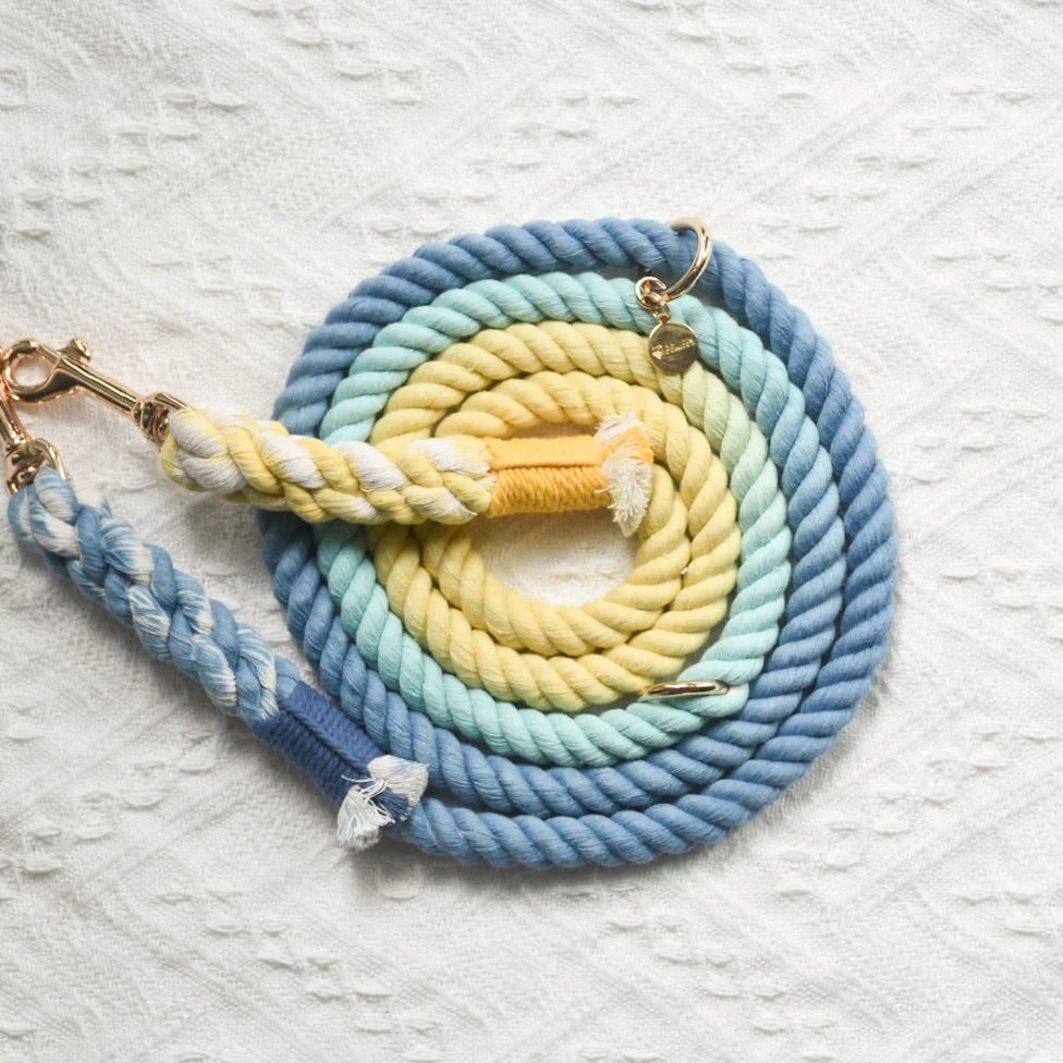 HANDS FREE DOG ROPE LEASH - DAWN - DraftFuel Sports