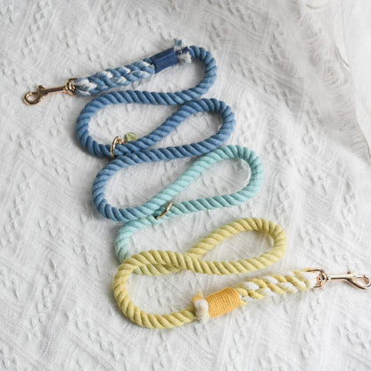 HANDS FREE DOG ROPE LEASH - DAWN - DraftFuel Sports