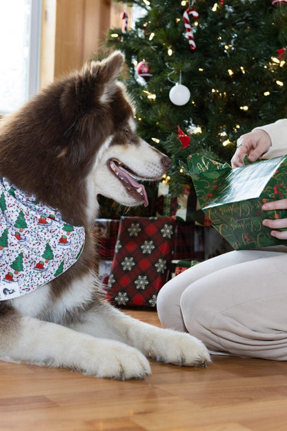 Howliday Cheer Dog Bandana - DraftFuel Sports