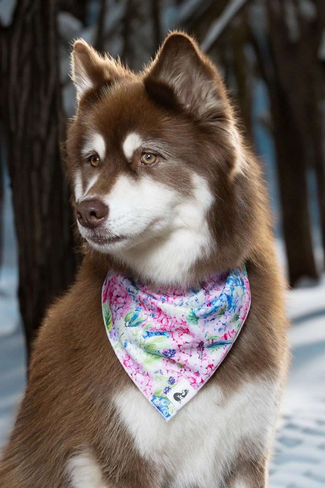 Hydrangea Haven Dog Bandana - DraftFuel Sports