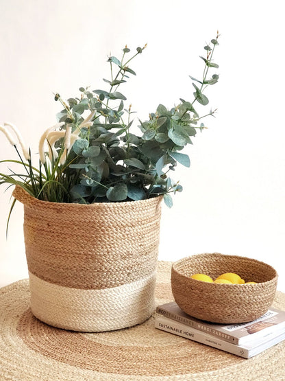 Kata Colorblock basket - DraftFuel Sports