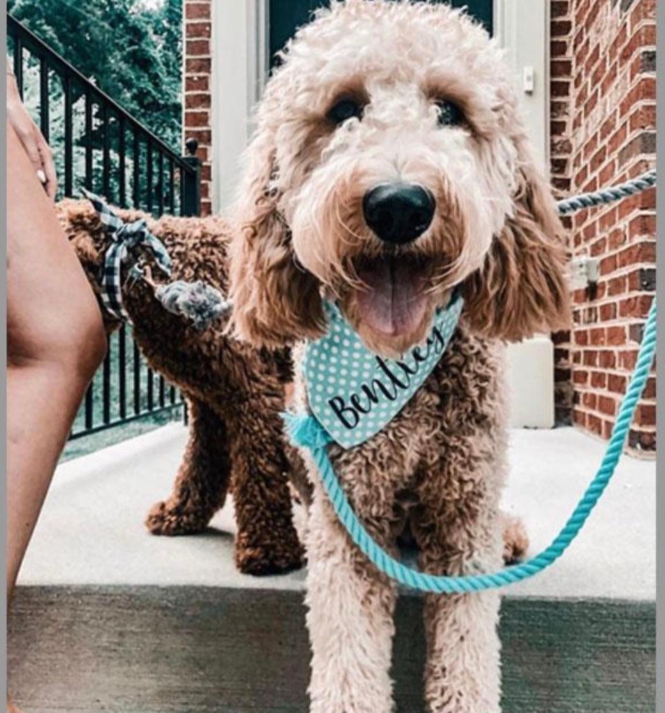 ROPE LEASH - PASTEL RAINBOW - DraftFuel Sports