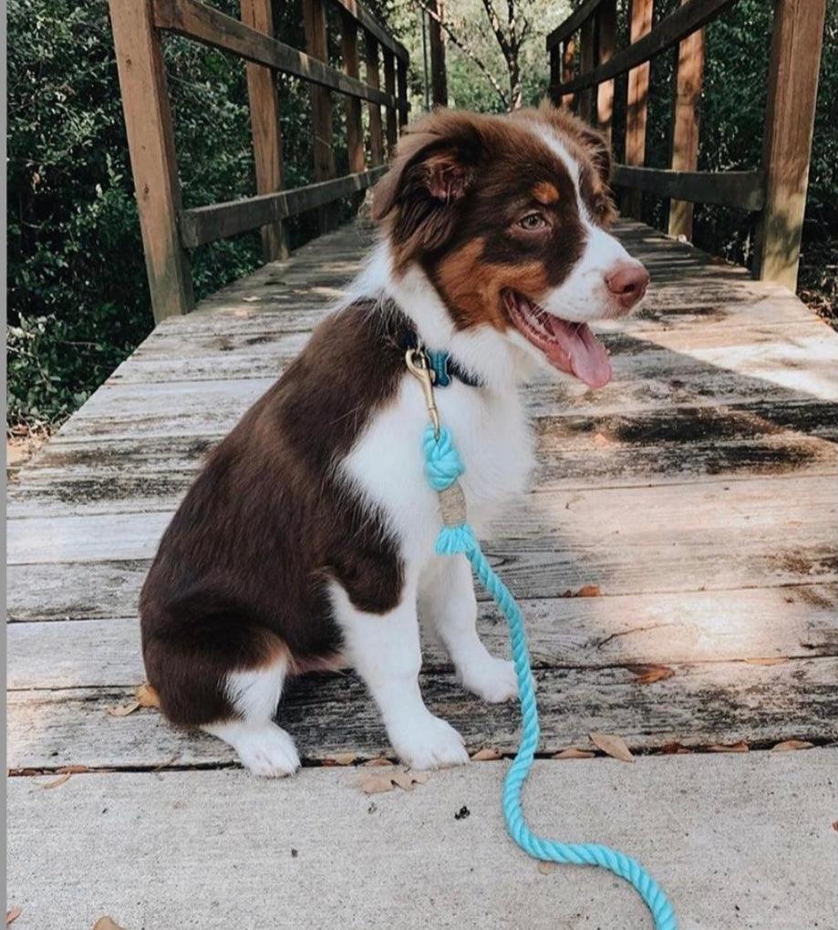 ROPE LEASH - UNICORN - DraftFuel Sports