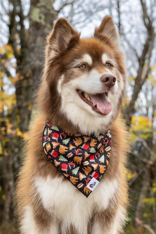 Woodland Tales Dog Bandana - DraftFuel Sports